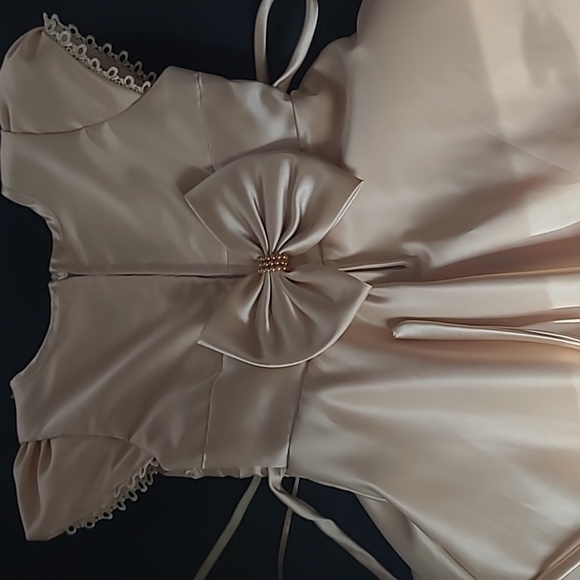 EUC 3T flower girl dress - Picture 4 of 5